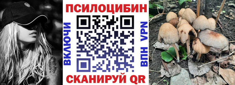 ссылка на мегу рабочий сайт  наркотики  Рыбинск  Псилоцибиновые грибы Cubensis 